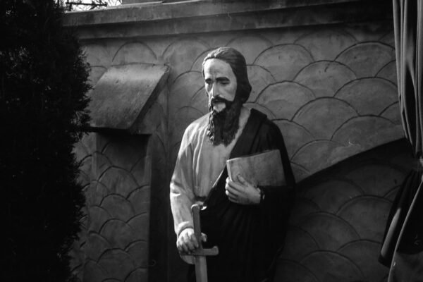 La película olvidada que resucitó en Costa Rica: cuando el cine toca fibras inesperadas