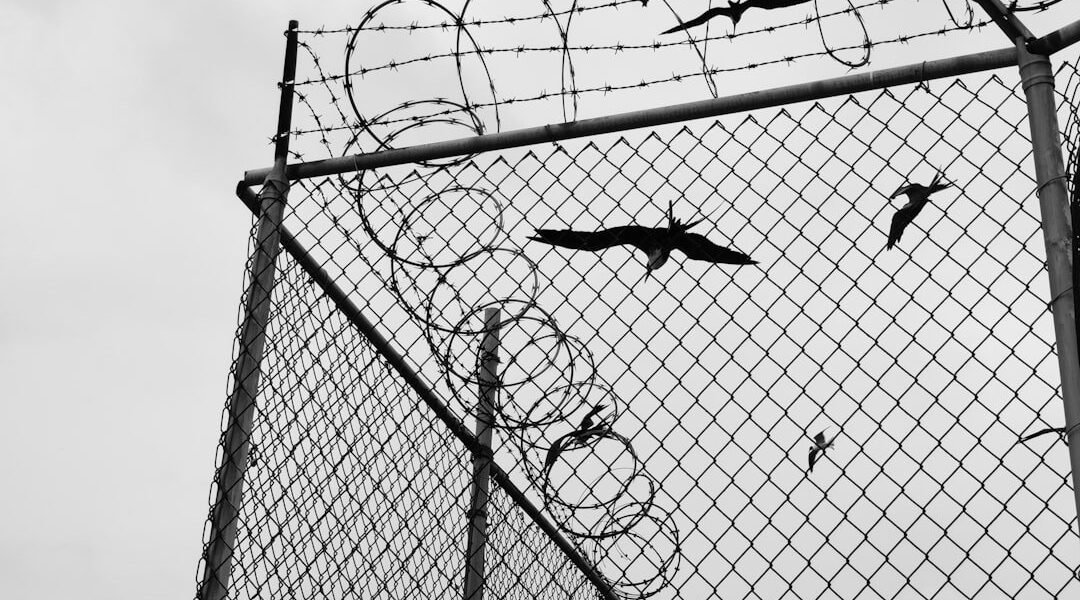 Cuando el fútbol llega a la frontera: los miedos de los migrantes en ciudades del Mundial 2026