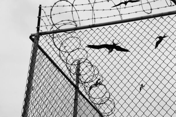 Cuando el fútbol llega a la frontera: los miedos de los migrantes en ciudades del Mundial 2026