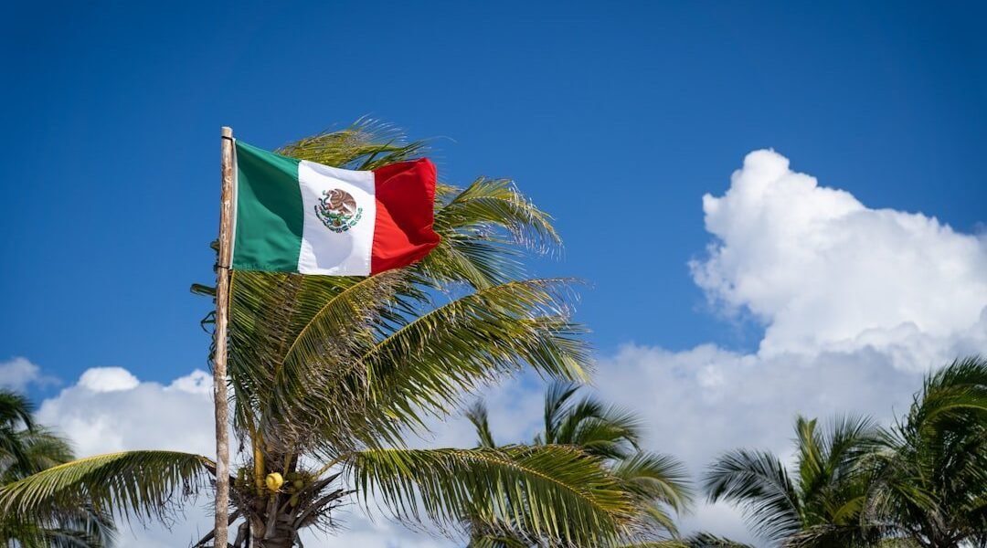 México apuesta al dinero digital en el Mundial: ¿realidad o fantasía?