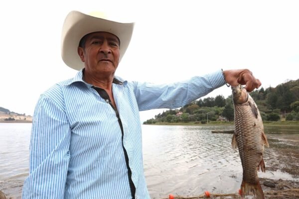 Edomex lidera producción nacional de carpa con siembra de 1.5 millones de crías