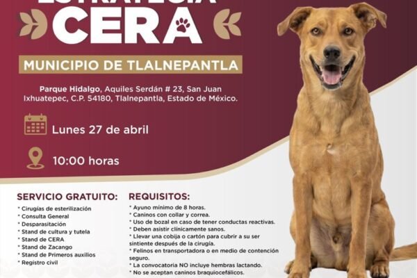 Jornada de servicios veterinarios gratuitos llega a Tlalnepantla este lunes