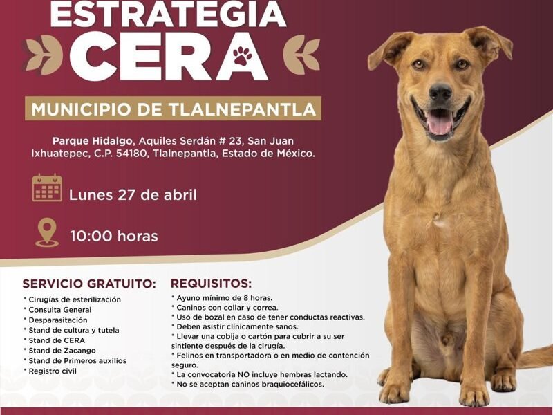 Jornada de servicios veterinarios gratuitos llega a Tlalnepantla este lunes