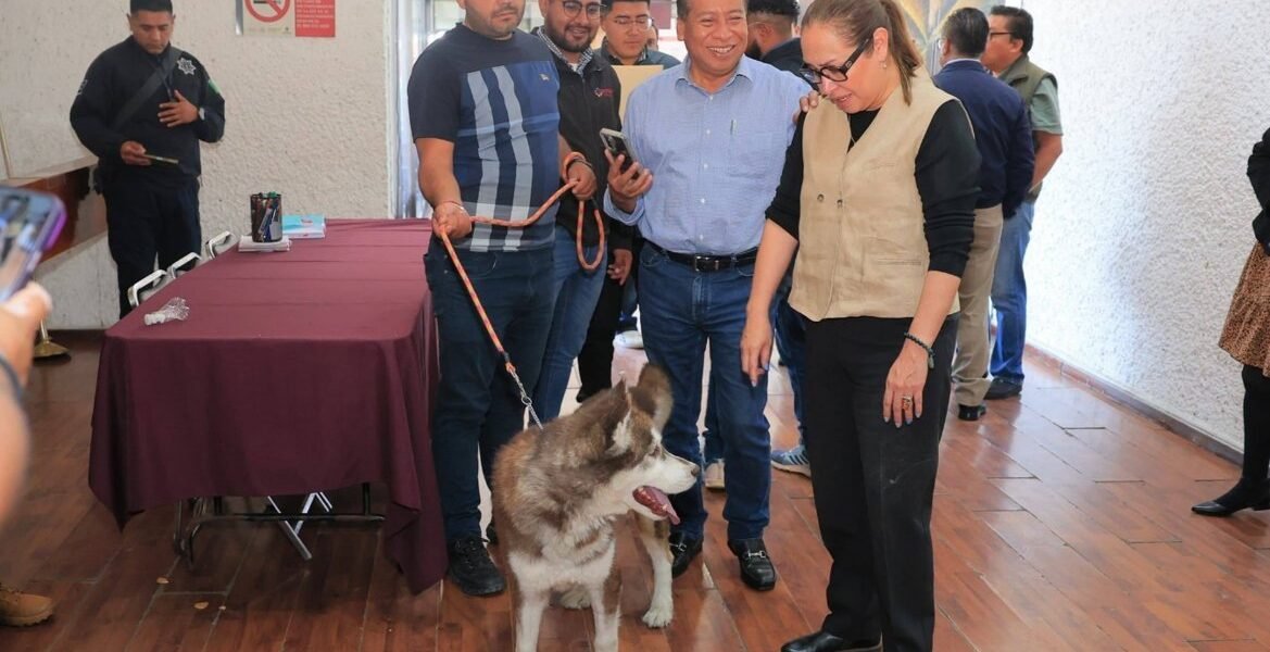 Ecatepec esterilizará 1,200 mascotas en su mayor campaña de bienestar animal