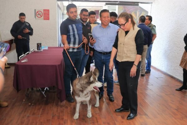 Ecatepec esterilizará 1,200 mascotas en su mayor campaña de bienestar animal