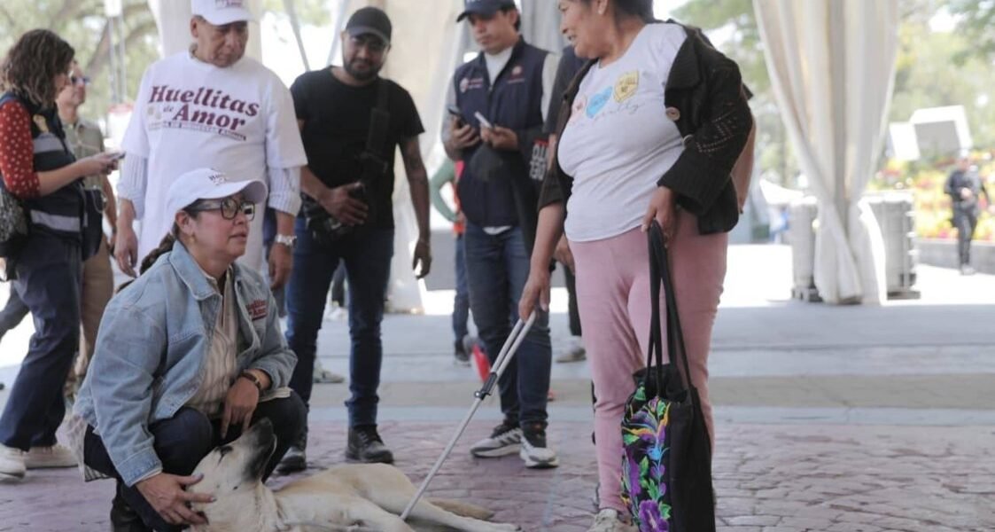 Ecatepec realiza récord histórico: más de 1,200 esterilizaciones gratuitas de mascotas