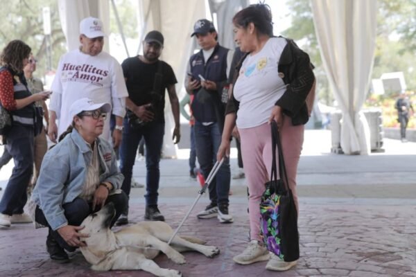 Ecatepec realiza récord histórico: más de 1,200 esterilizaciones gratuitas de mascotas