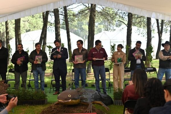 Estado de México presenta libro científico sobre anfibios en bosques
