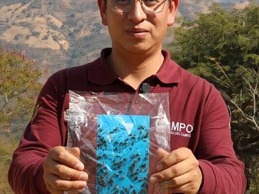 Estado de México reduce casos de gusano barrenador del ganado al mínimo