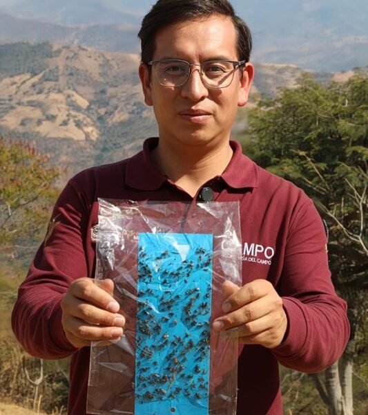 Estado de México reduce casos de gusano barrenador del ganado al mínimo