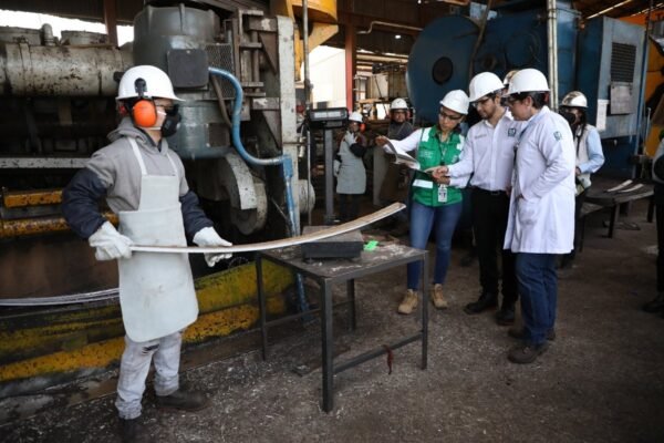 Empresas mexicanas reducen accidentes laborales con estrategia ELSSA del IMSS