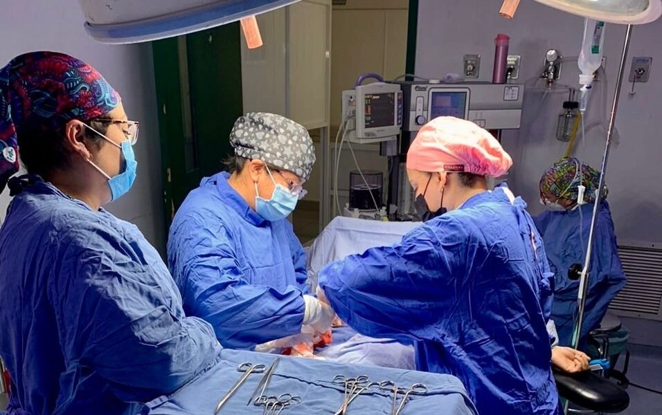 HGR 196 del IMSS suma 174 donaciones de órganos en 18 años