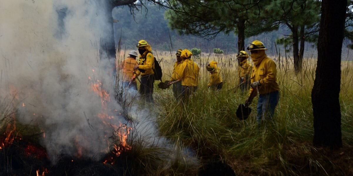 Estado de México activa Teléfono Rojo para combatir incendios forestales