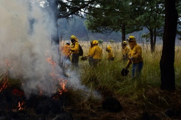 Estado de México activa Teléfono Rojo para combatir incendios forestales
