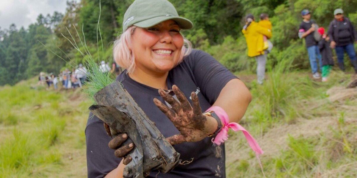 Temporada de lluvias impulsa reforestación corporativa en México