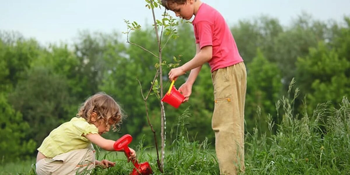 12 actividades para enseñar a tus hijos a cuidar el medio ambiente