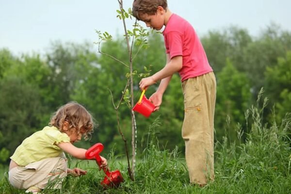 12 actividades para enseñar a tus hijos a cuidar el medio ambiente