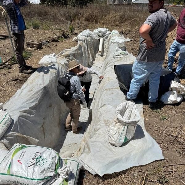 Texcoco impulsa agricultura sustentable con biodigestores e innovación tecnológica