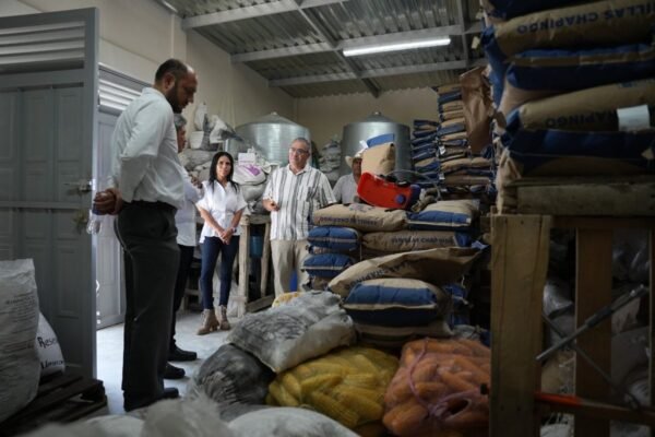 Chapingo desarrolla maíces de alto valor nutracéutico para transformar mercado agrícola