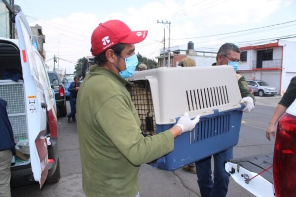 México amplía protección a animales con nueva ley integral de bienestar