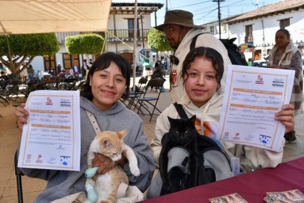 Edomex aprueba ley pionera de bienestar animal con registro único obligatorio