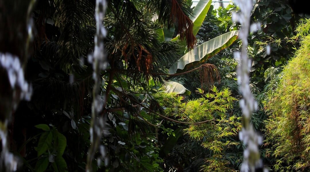 Mercurio en la Amazonía: cuando la burocracia ampara la devastación