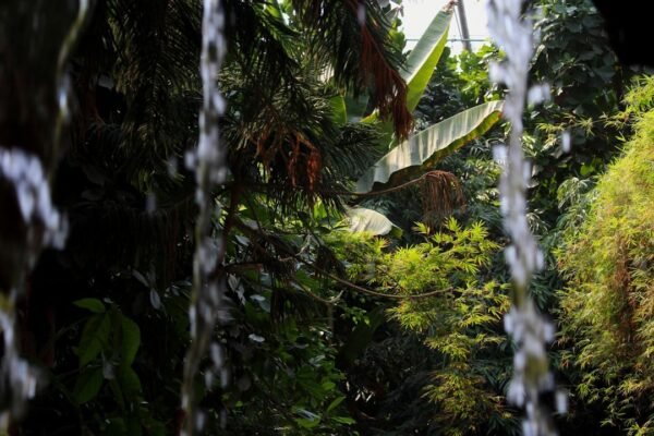 Mercurio en la Amazonía: cuando la burocracia ampara la devastación