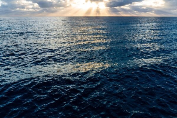 Cuando El Niño se vuelve monstruo: cómo el cambio climático potencia sus extremos