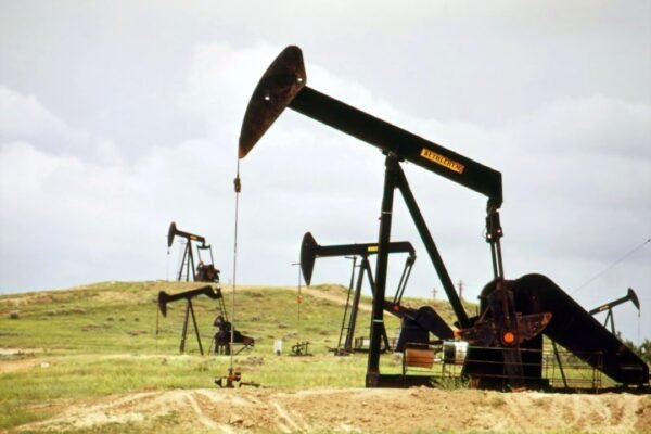 Las universidades públicas en la encrucijada: ciencia vs. extractivismo