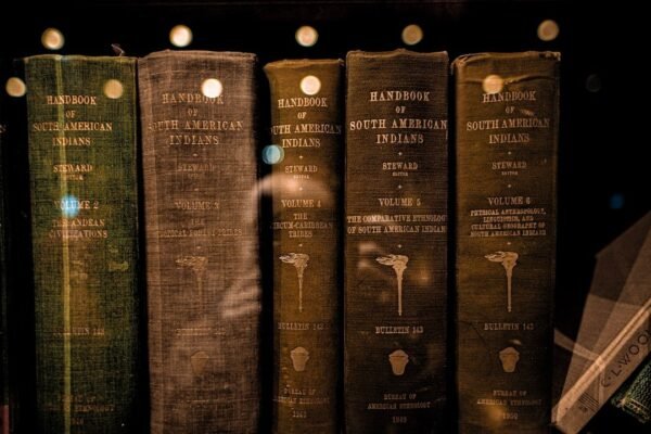 La literatura latinoamericana confronta sus dilemas: escritores reflexionan sobre crisis contemporánea