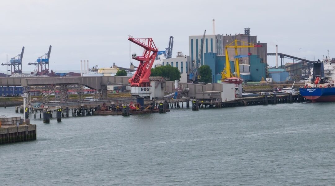 Veracruz: cuando el desarrollo portuario ignora las sentencias ambientales