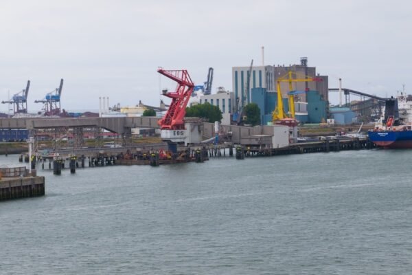 Veracruz: cuando el desarrollo portuario ignora las sentencias ambientales