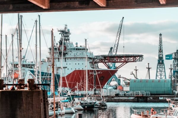 México ignora a la Corte: la ampliación del puerto de Veracruz desafía el marco legal ambiental