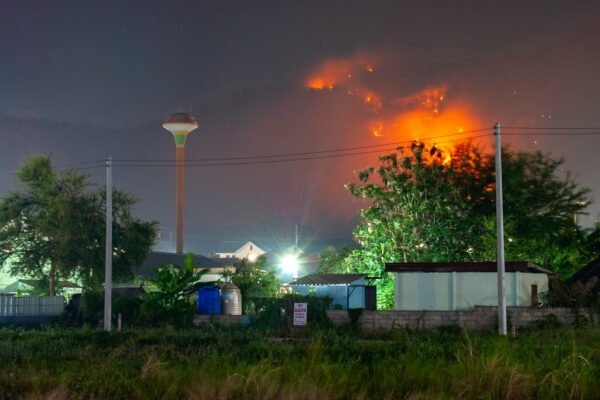 2026: año de fuego extremo mientras El Niño amenaza con intensificarse