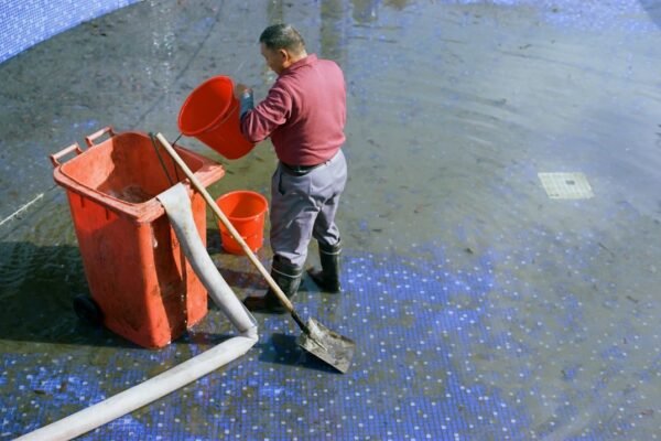 Bacterias aliadas: la biotecnología marina que enfrenta derrames de crudo