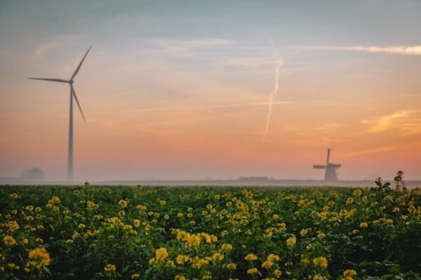 El dilema latinoamericano: ¿cómo financiar la transición ecológica?