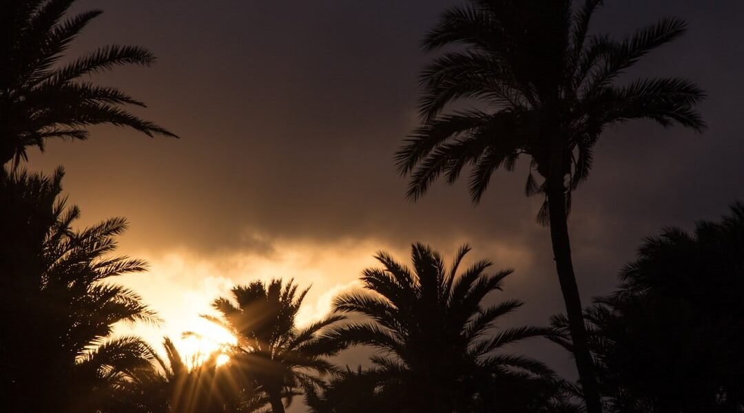 Yucatán en la encrucijada: extremos climáticos que revelan la vulnerabilidad del trópico