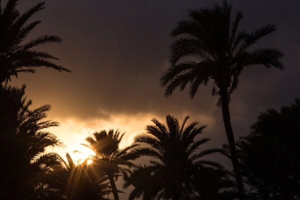 Yucatán en la encrucijada: extremos climáticos que revelan la vulnerabilidad del trópico