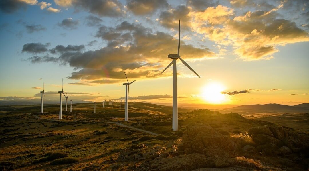 El dilema latinoamericano: cómo financiar la transición ecológica sin comprometer el desarrollo