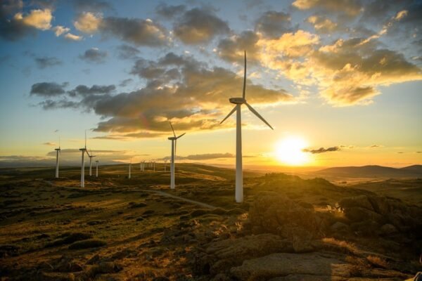El dilema latinoamericano: cómo financiar la transición ecológica sin comprometer el desarrollo
