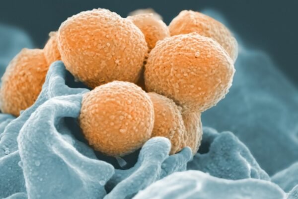 Inmunoterapia en México: cómo las nuevas drogas oncológicas redefinen el tiempo en el cáncer