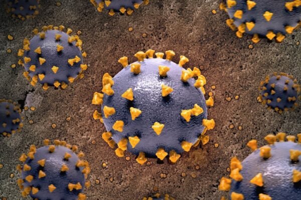 México alerta por hantavirus tras caso en crucero: qué debes saber
