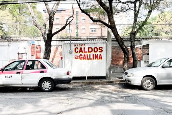 La ecuación del fracaso: por qué la guerra contra las drogas perpetúa el narcotráfico