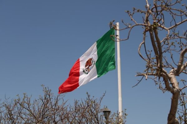 ¿Por qué persiste el narcotráfico? La ecuación que nadie quiere resolver