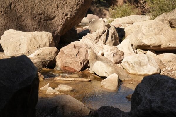 La fiebre del litio en América Latina: entre promesas de desarrollo y riesgo ambiental