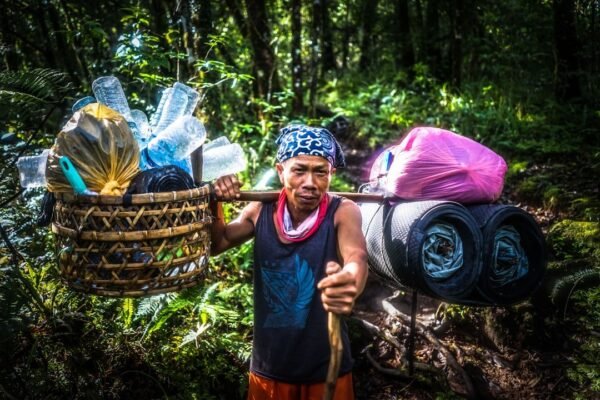 Escazú: cuando la voz de la tierra encuentra eco en las políticas públicas
