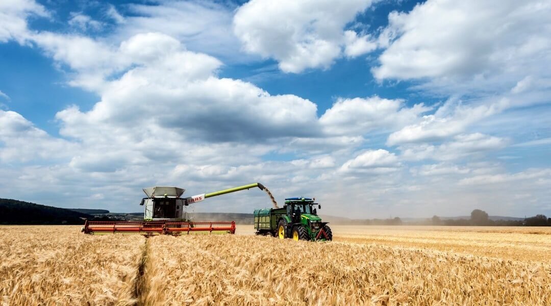El agro guatemalteco atrae inversión brasileña: ¿oportunidad o patrón regional?