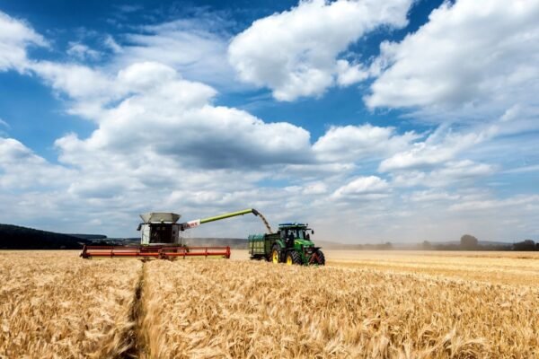 El agro guatemalteco atrae inversión brasileña: ¿oportunidad o patrón regional?