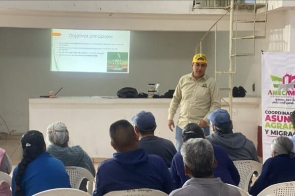 Amecameca fortalece a productores de maíz con capacitaciones gratuitas