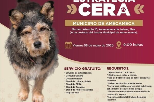 Estrategia CERA llega a Amecameca con servicios veterinarios gratuitos